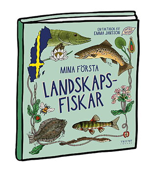Mina första landskapsfiskar (med fisketips!)