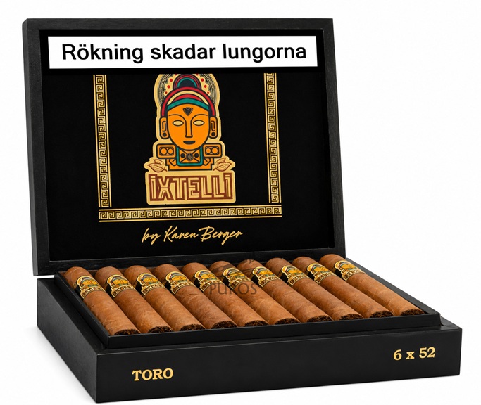 Karen Berger Ixtelli Toro