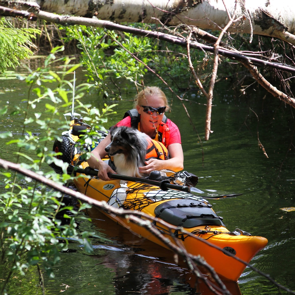 Adventure with dog - 2