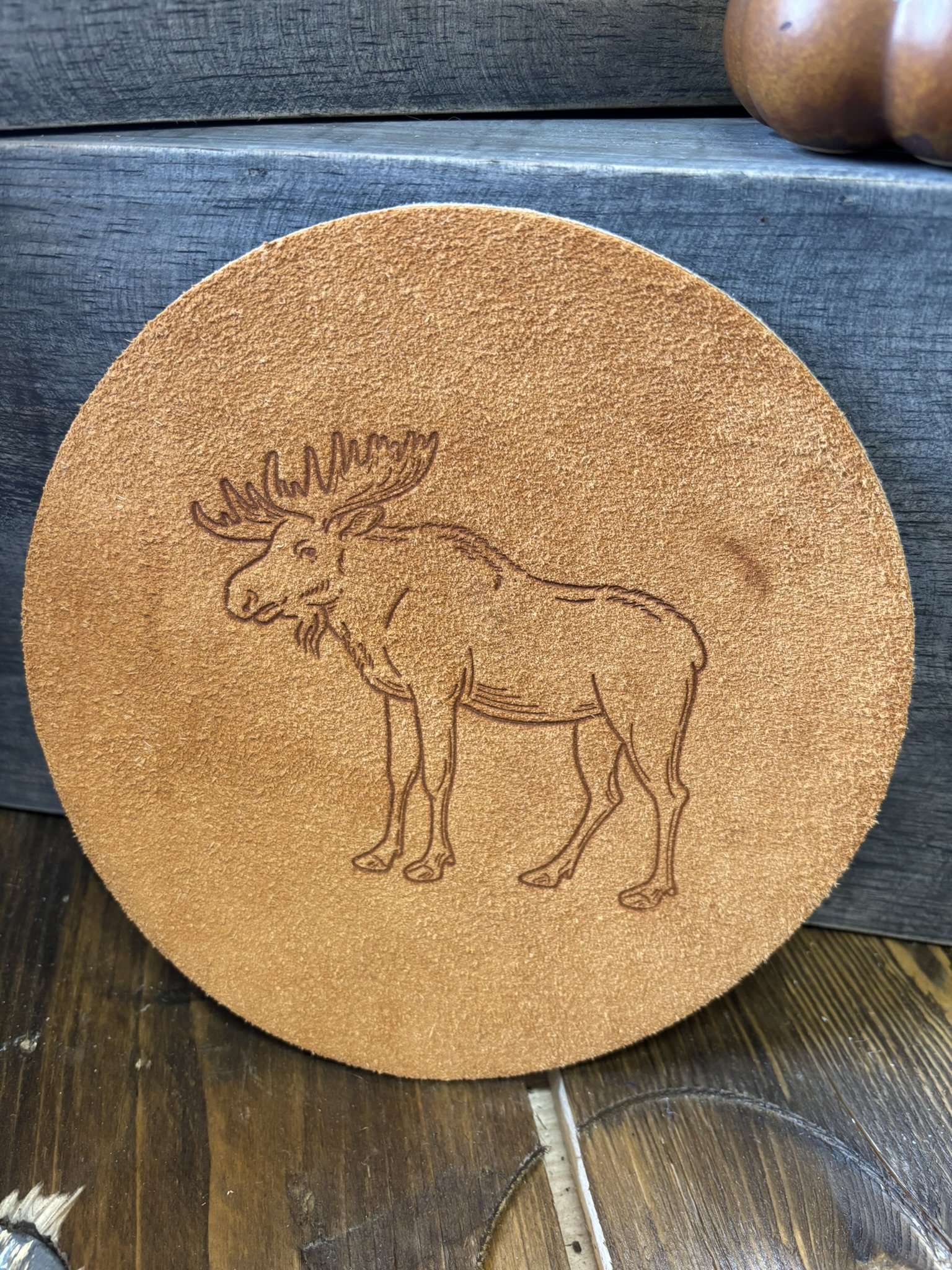 Grytunderlägg Älg