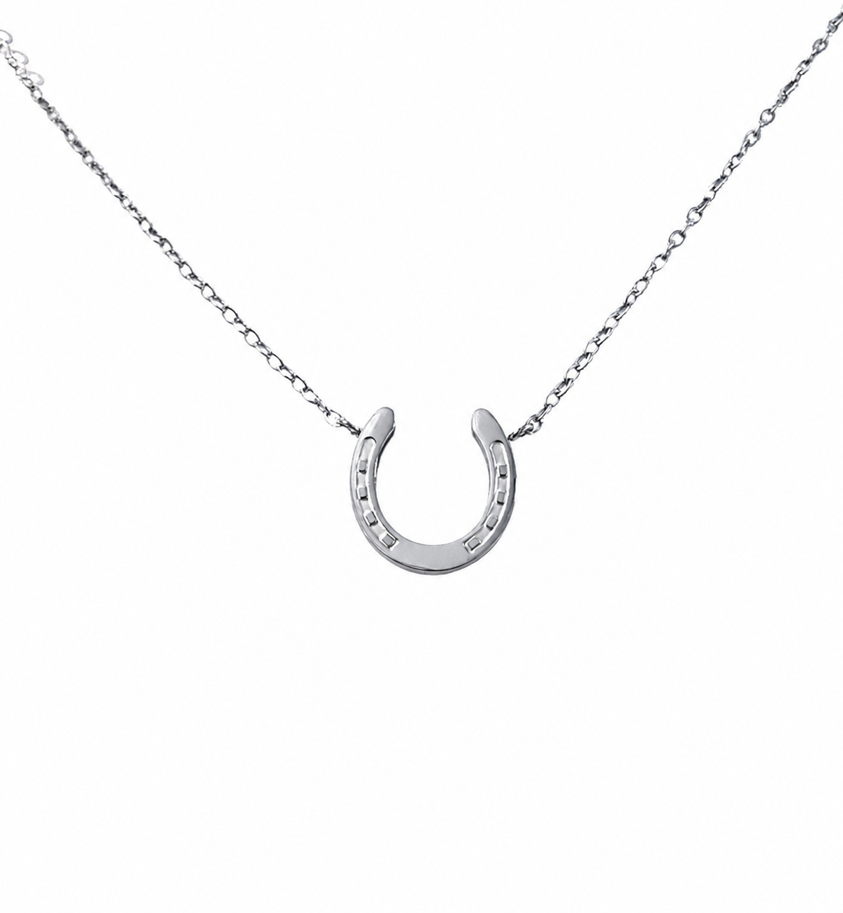 Horseshoe Necklace Silver