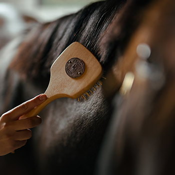 BORSTIQ CARD-SHAPED MAN/TAIL BRUSH