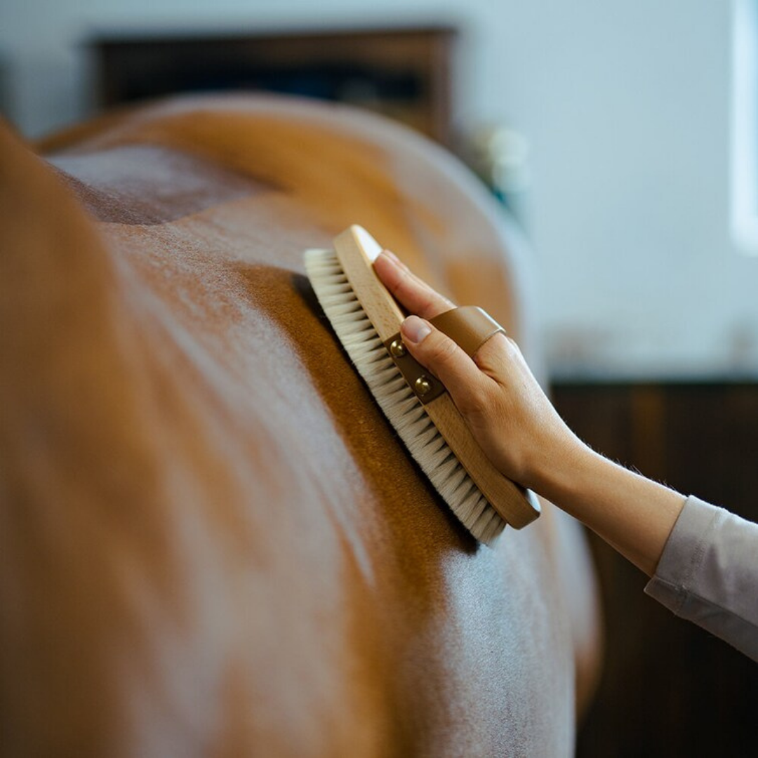 BORSTIQ GOAT HAIR BRUSH WITH LEATHER STRAP L - 6