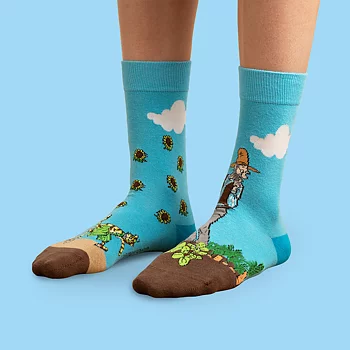 Findus socks - In the Garden 36-40
