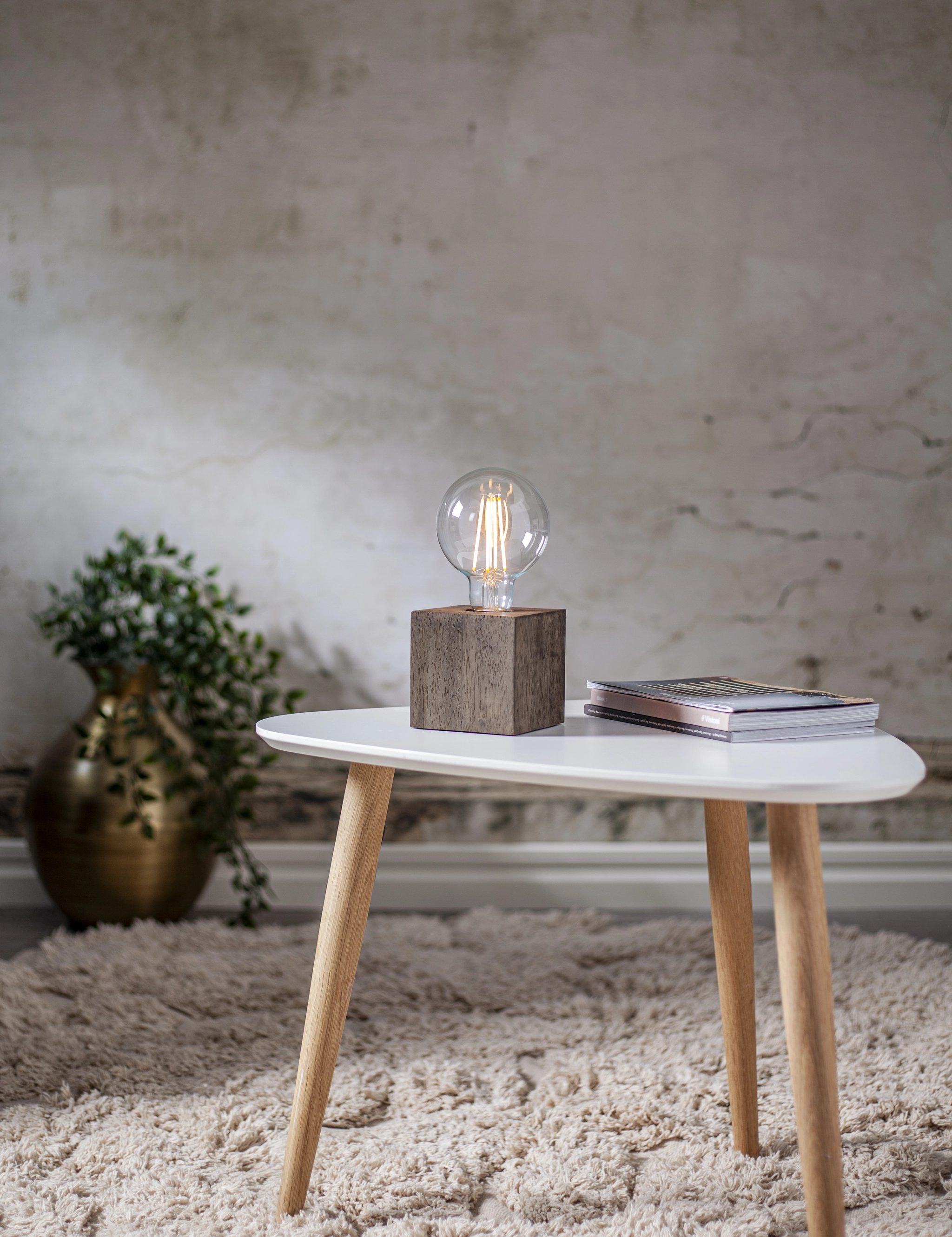 Kub Lampfot Brun - 3