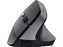 Trust Bayo II Ergonomic Wireless Mouse