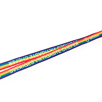 1 Logoband Pride