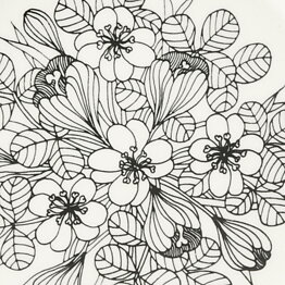 Esteri Tomula (Krokus 1978) Plate with Graphic Flower Decor 17 cm  [Sample Images]