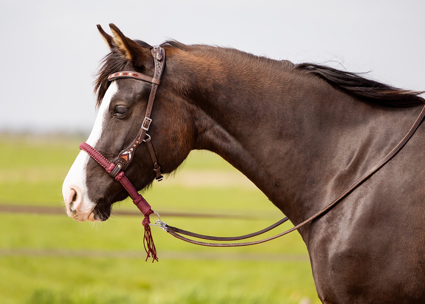 Edix© Rose ED3 anatomical bridle Brightstar, brown - 4