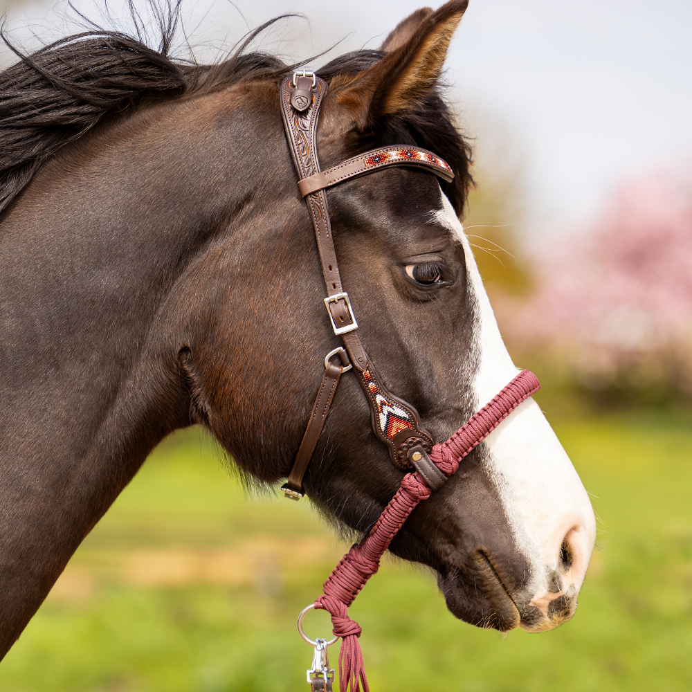 Edix© Rose ED3 anatomical bridle Brightstar, brown