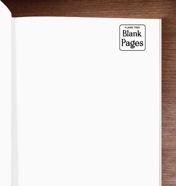 Nina Pace: Hera (Foiled Blank Journal) - 3