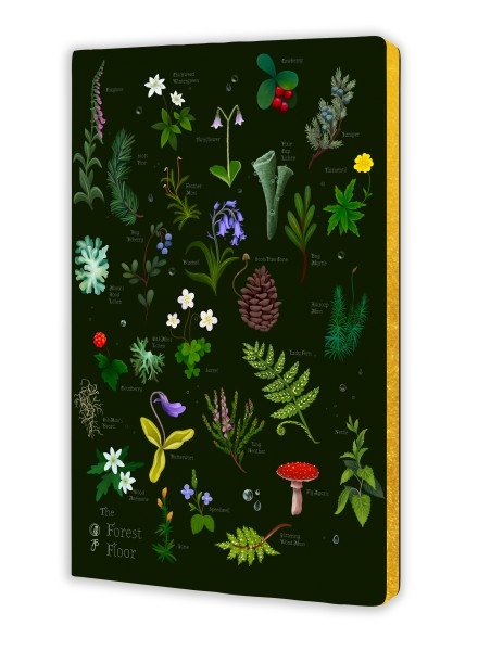 Anna Stead: The Forest Floor (Soft Touch Journal) - 2