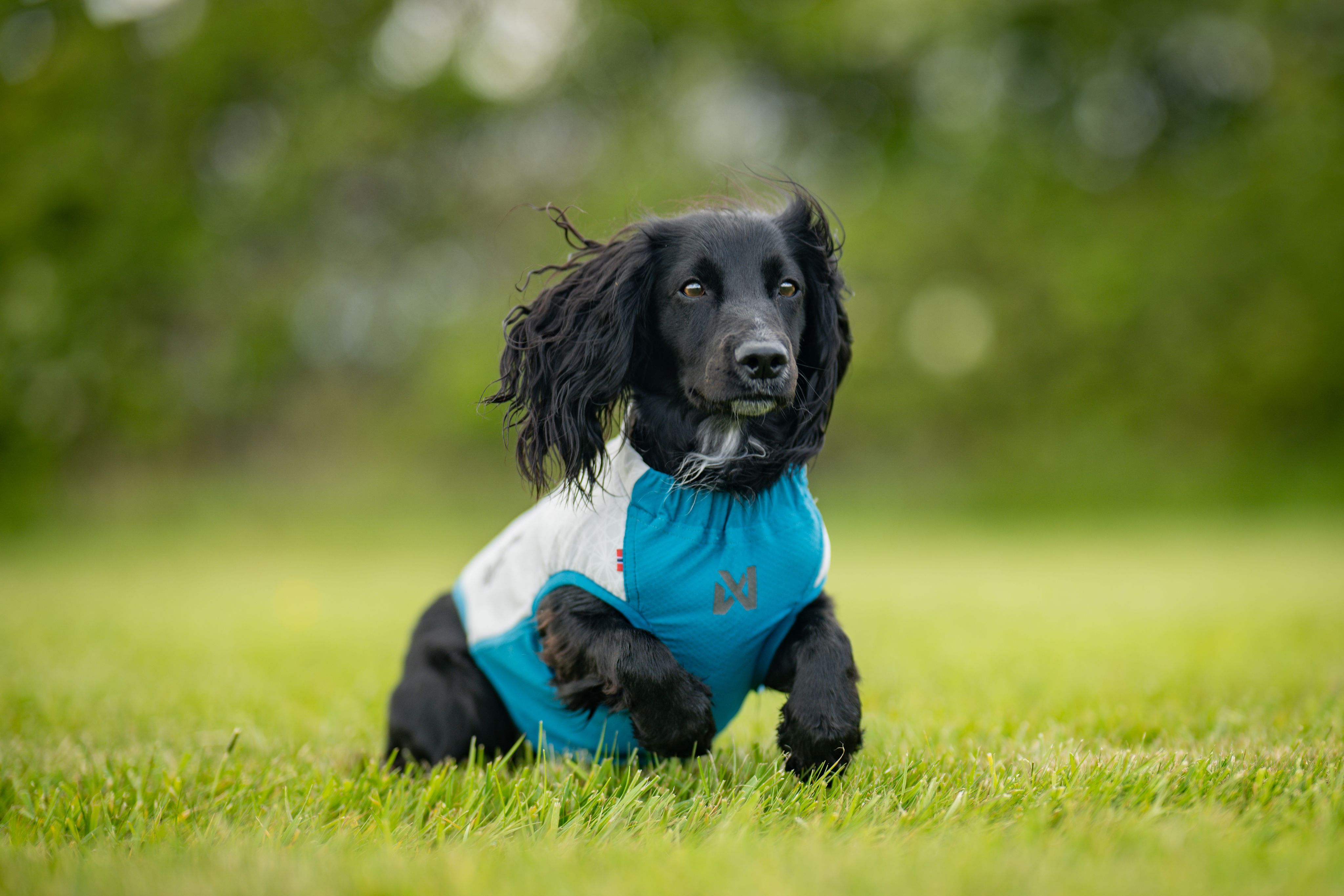 Non-Stop Dogwear Cooling Pull-On Vest - 3