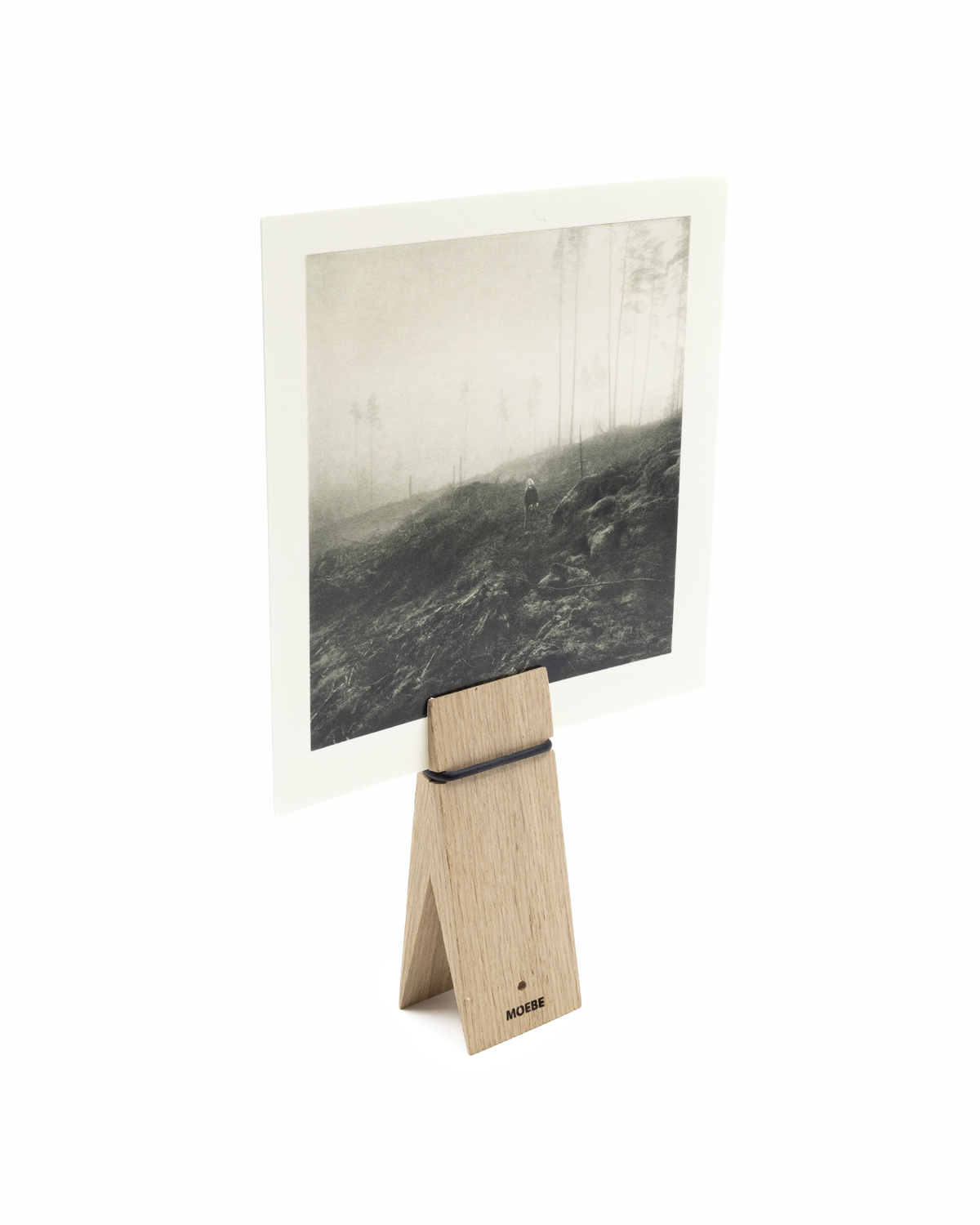 Moebe Pinch, Oak 
