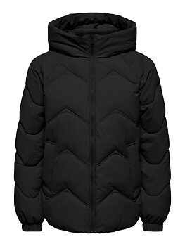 JDYPOWER SHORT HOOD PUFFER OTW HAB Black