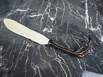 Dekoration / Flasköppnare - Claw