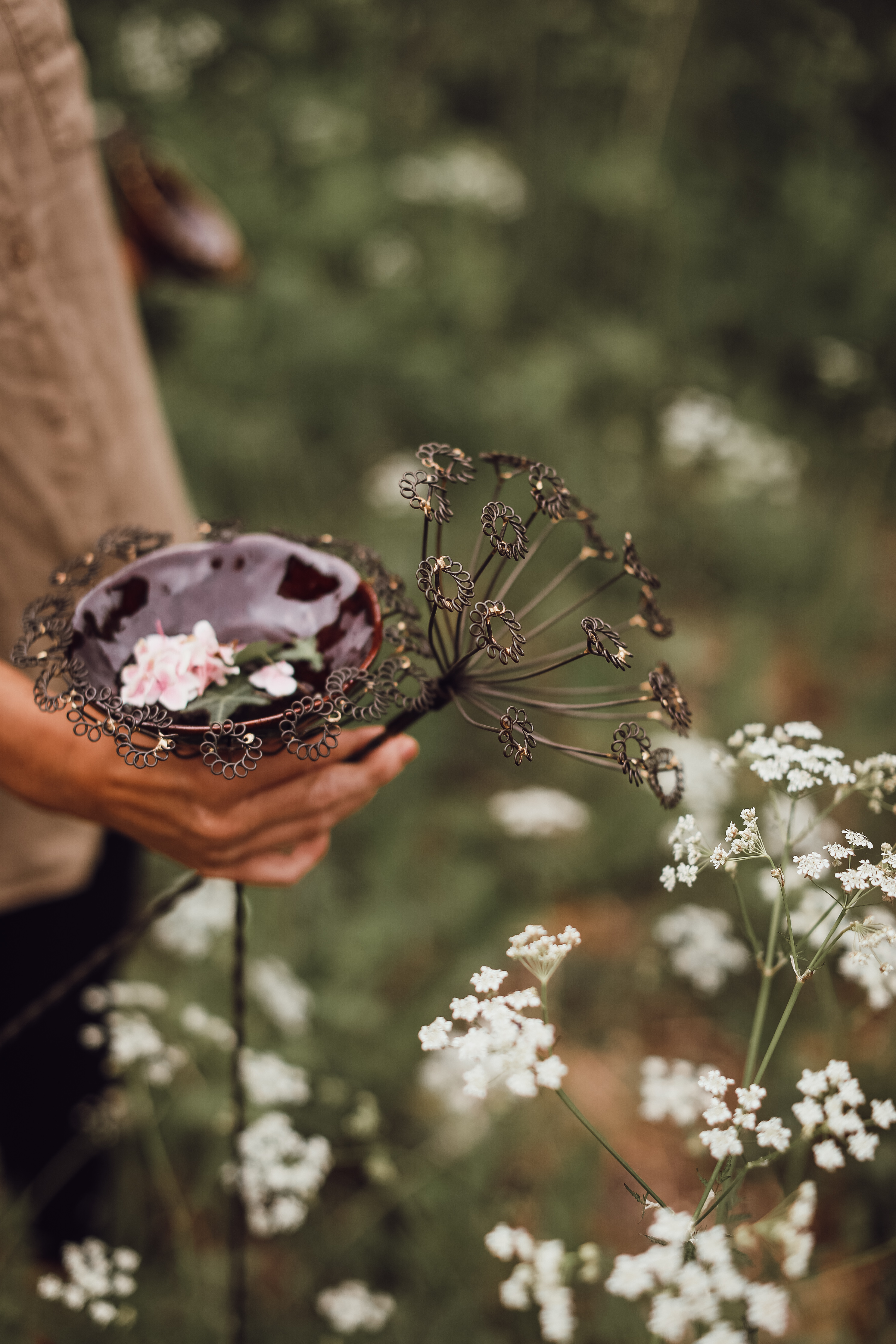 Blompinne Vildmorot  (Välj storlek)