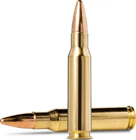NORMA 308W 9.7G JAKTMATCH FM - 2