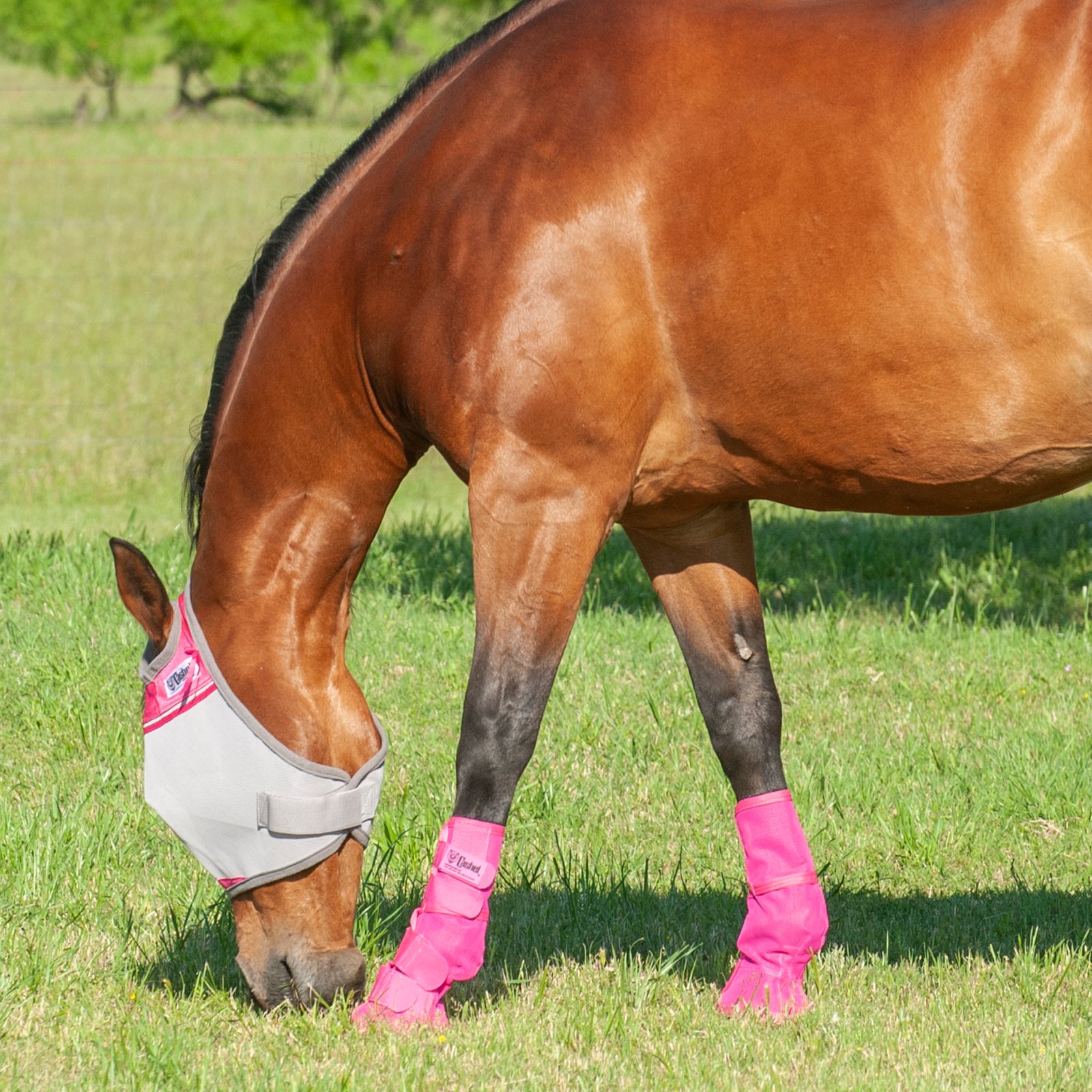 Cashel© Crusaders™ Fly Mask / flughuva, rosa - 5