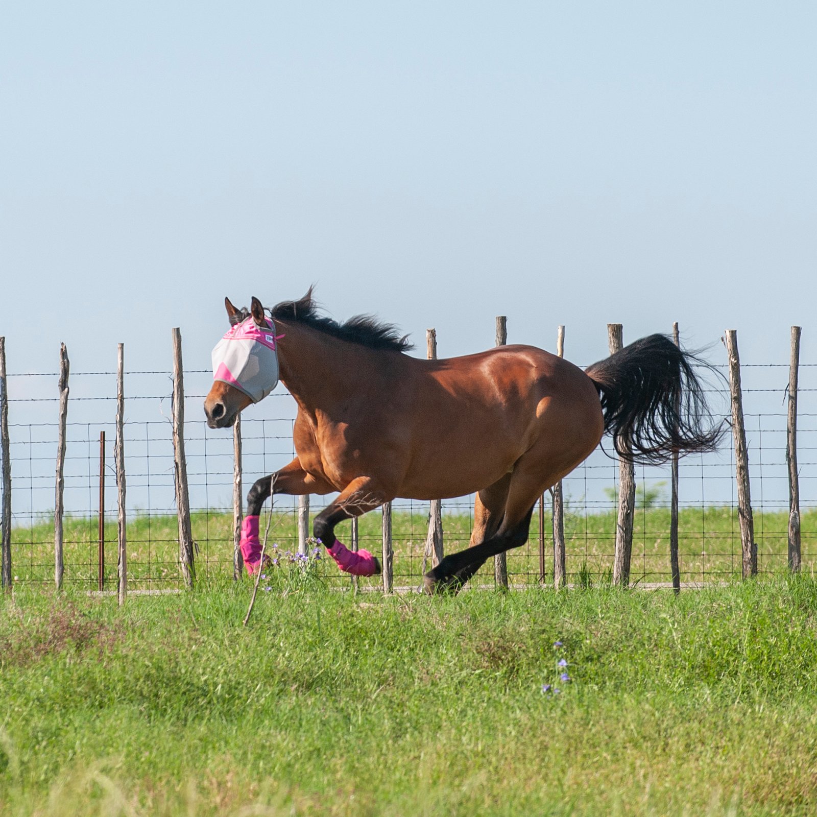 Cashel© Crusaders™ Fly Mask,  patchwork - 6