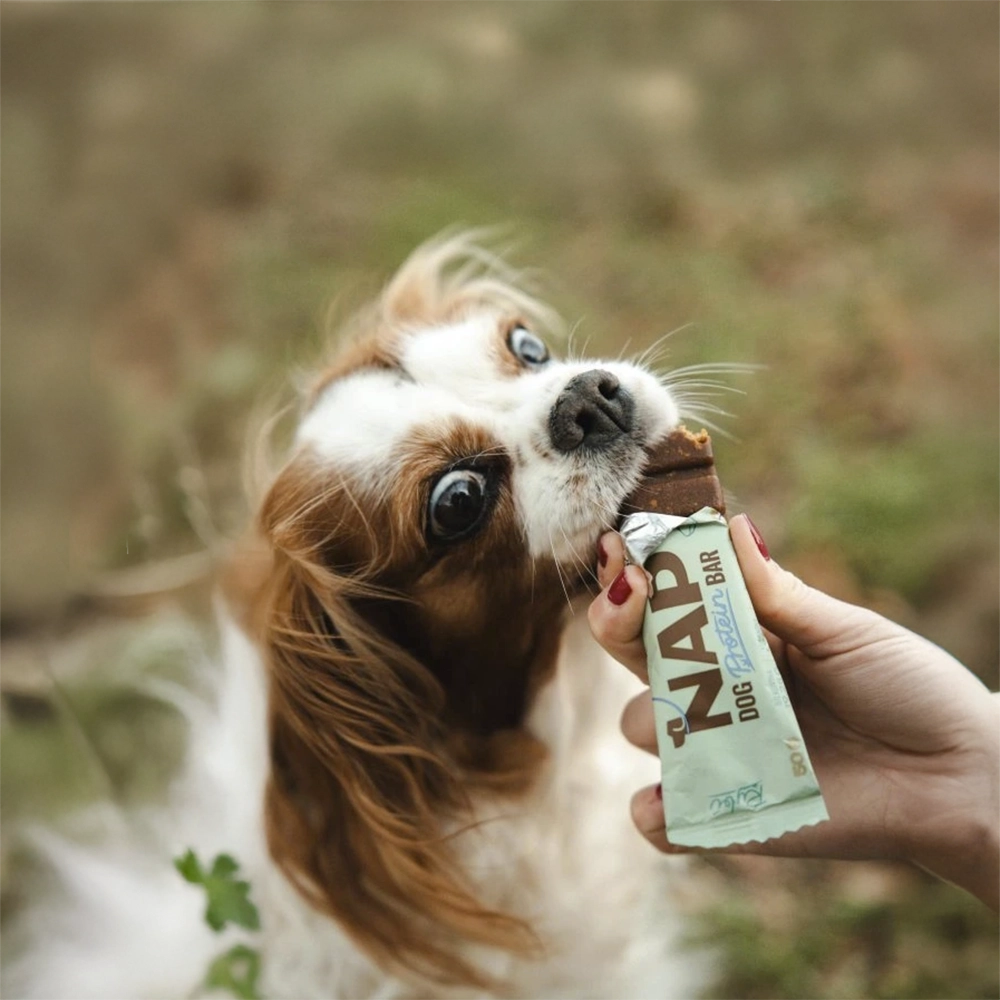 NAP proteinbar till hund