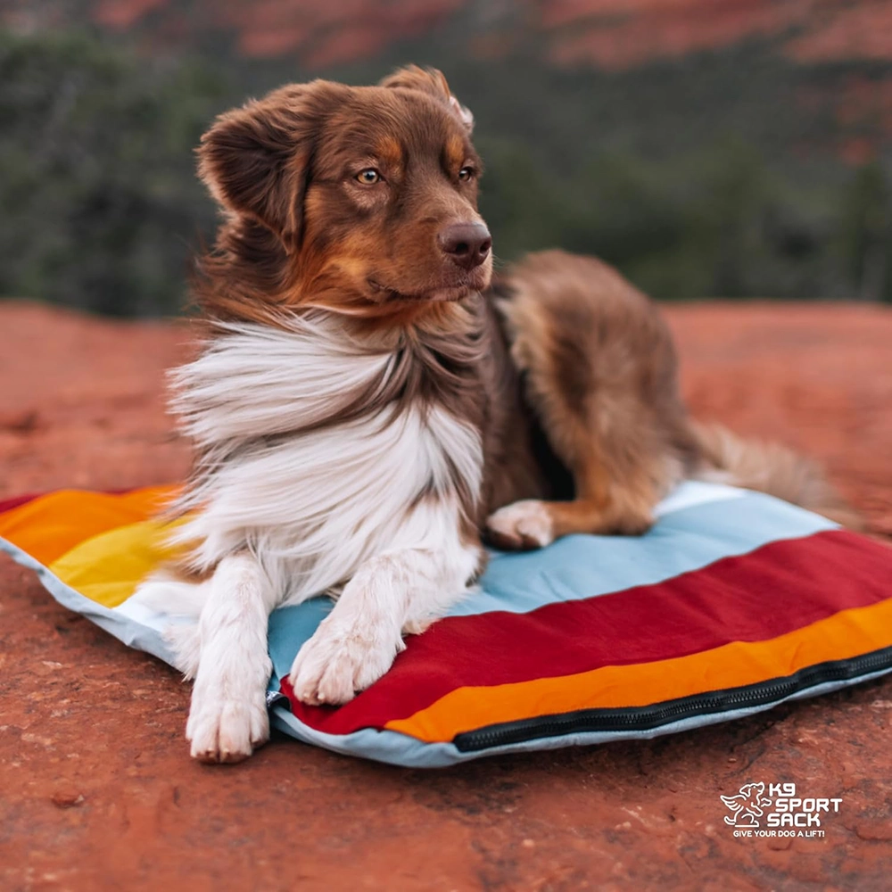K9 Sport sack sleeper pad uppblåsbar madrass till hund