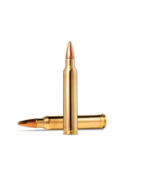 NORMA .300 WIN MAG  9.7G JAKTMATCH  FM - 2