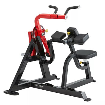 Steelflex Dual Biceps / Triceps PL2600