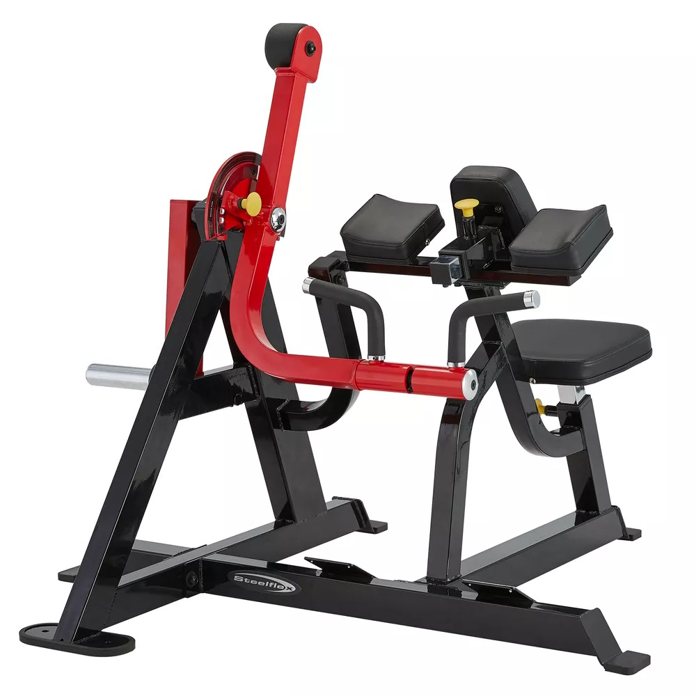 Steelflex Dual Biceps / Triceps PL2600 - 4