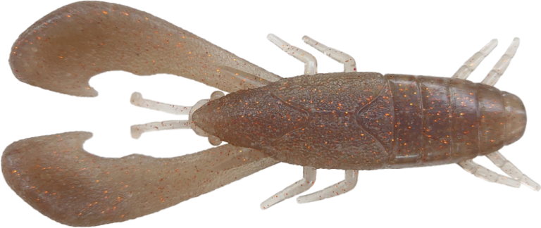 Eisvogel Freegel Bug 4" 5-pack - 6