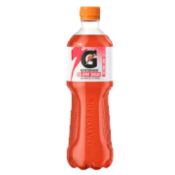 Gatorade Fruit Punch Zero 50cl 12st