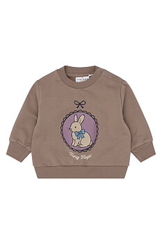 TNSBVinia Sweatshirt Taupe Gray TN