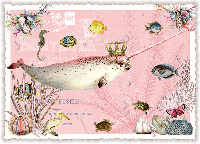 Narwal, Postcard