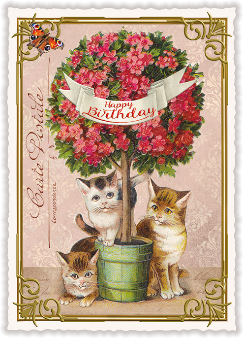 Happy Birthday Kittens, Postcard