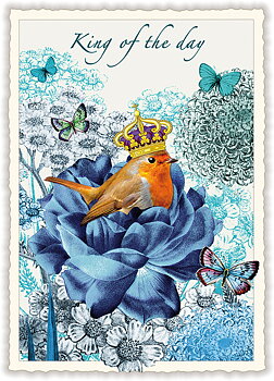 King of the day, Postcard