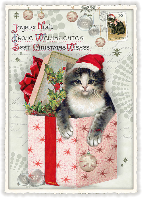Best Christmas Wishes Cat, Postcard