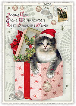 Best Christmas Wishes Cat, Postcard