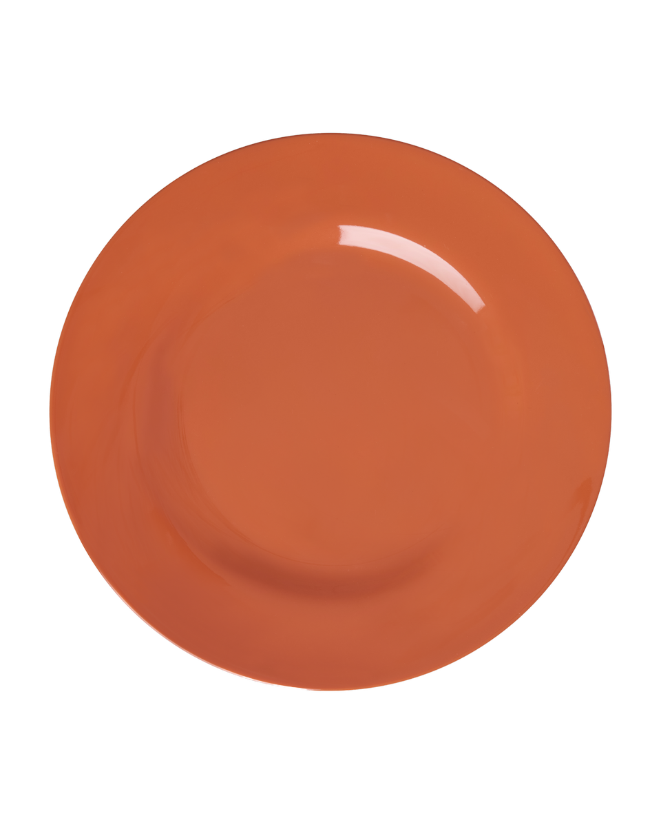 Rice - PLATE 25 cm - 11