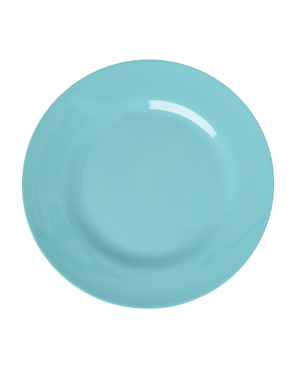 Rice - PLATE 25 cm - 12