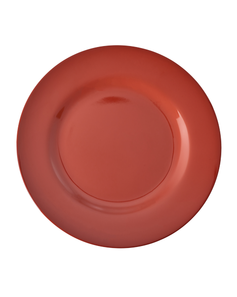 Rice - PLATE 25 cm - 6