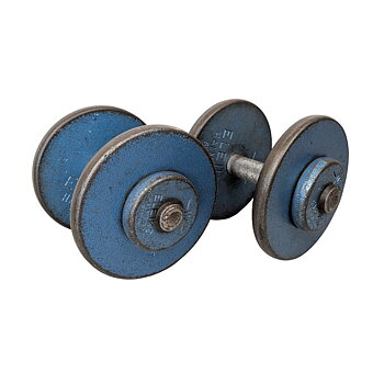 Vintage Eleiko Skivhantlar 2x15 kg (1 par)