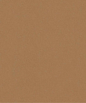 Warm Copper - 2782333