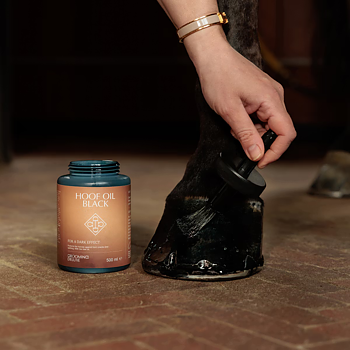 KENTUCKY GD HOOF OIL SHINE BLACK