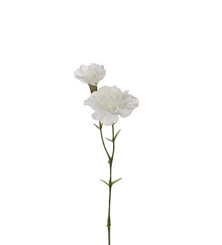 Nejlika 31 cm vit 