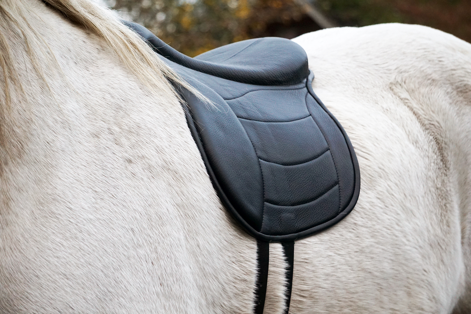 Taur Pad Supreme - 12