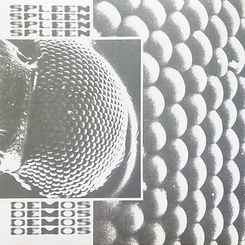 Spleen - Demos - LP