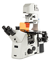 Euromex Delphi-X Inverso DI.3053-PLPHFi inverterat fluorescensmikroskop 100/200/400×, fas, DIC-förberett