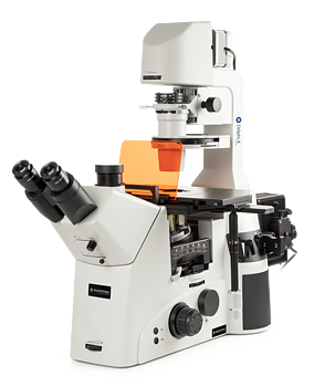 Euromex Delphi-X Inverso DI.3053-PLPHFi inverterat fluorescensmikroskop 100/200/400×, fas, DIC-förberett