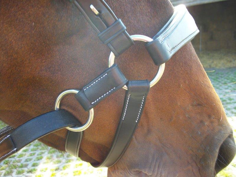 Bitless Bridle Quick Release (Crossunder) F.R.A® Lami nosdel - 3