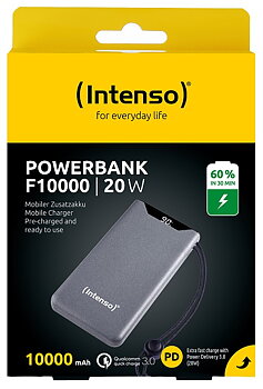 Intenso Powerbank F10000 Grå